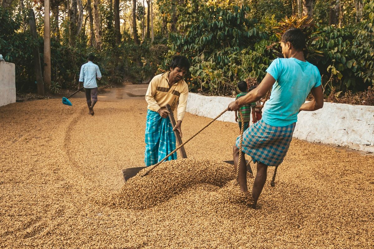 Happy Coffee India Farmers