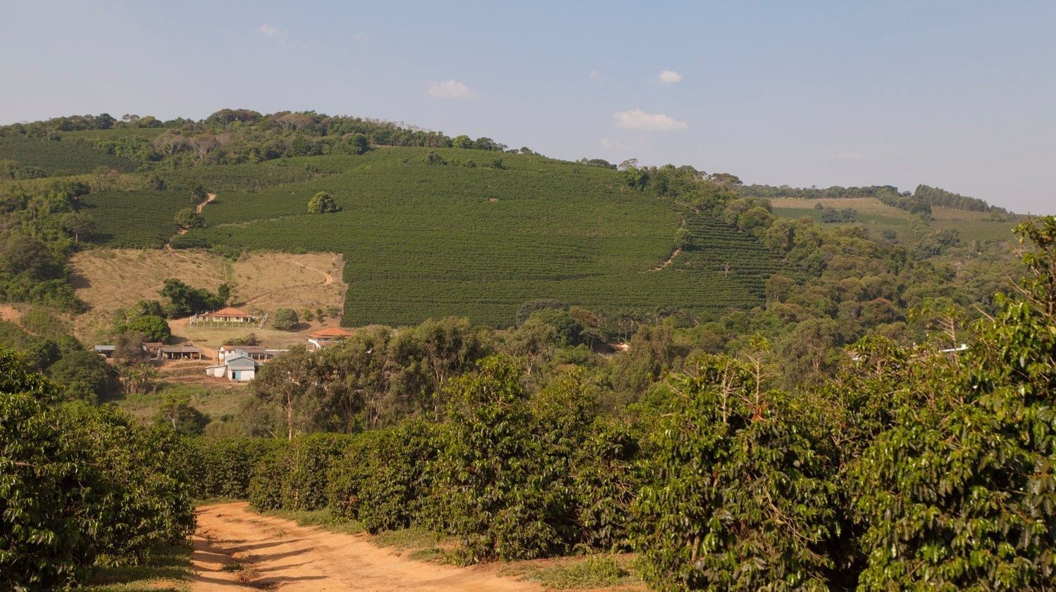 Coffee Farm House Blend