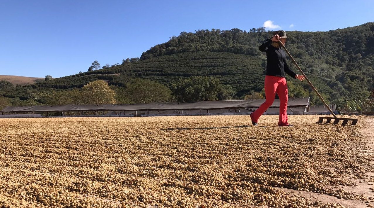 Monsoon Blend Coffee