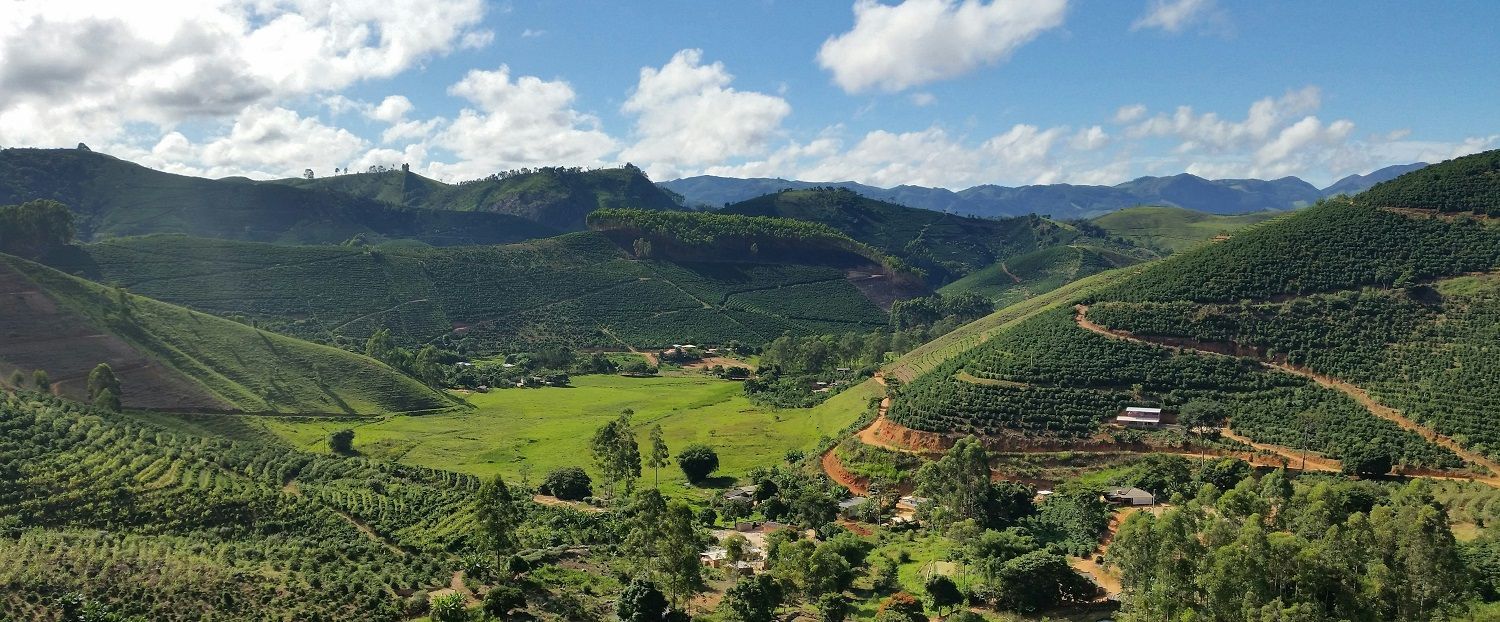 Coffee Farm Brazil