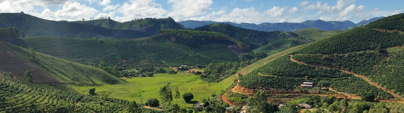 Ground Coffee 200g title image