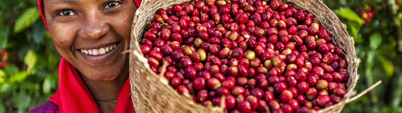 Fair Trade Coffee Beans title image