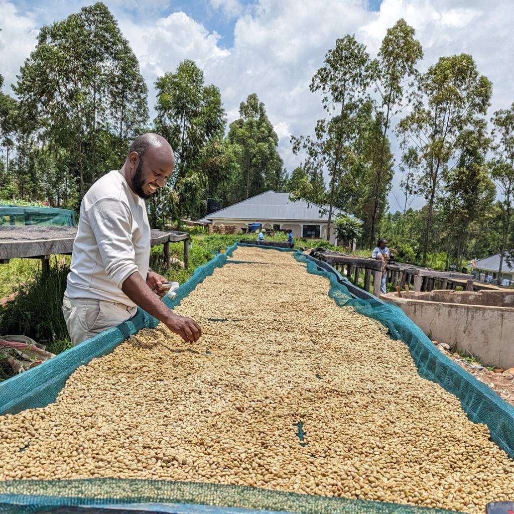 Jurang Roasters Choice Beans (250g) - Kenya Kaptagat gallery image #3